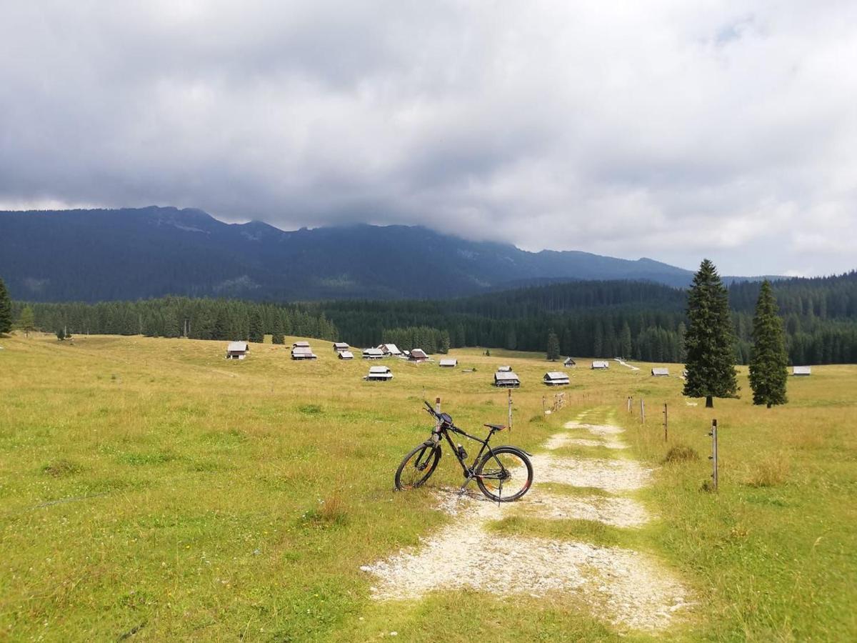 Brunarica Na Goreljeku Bohinj Exteriér fotografie