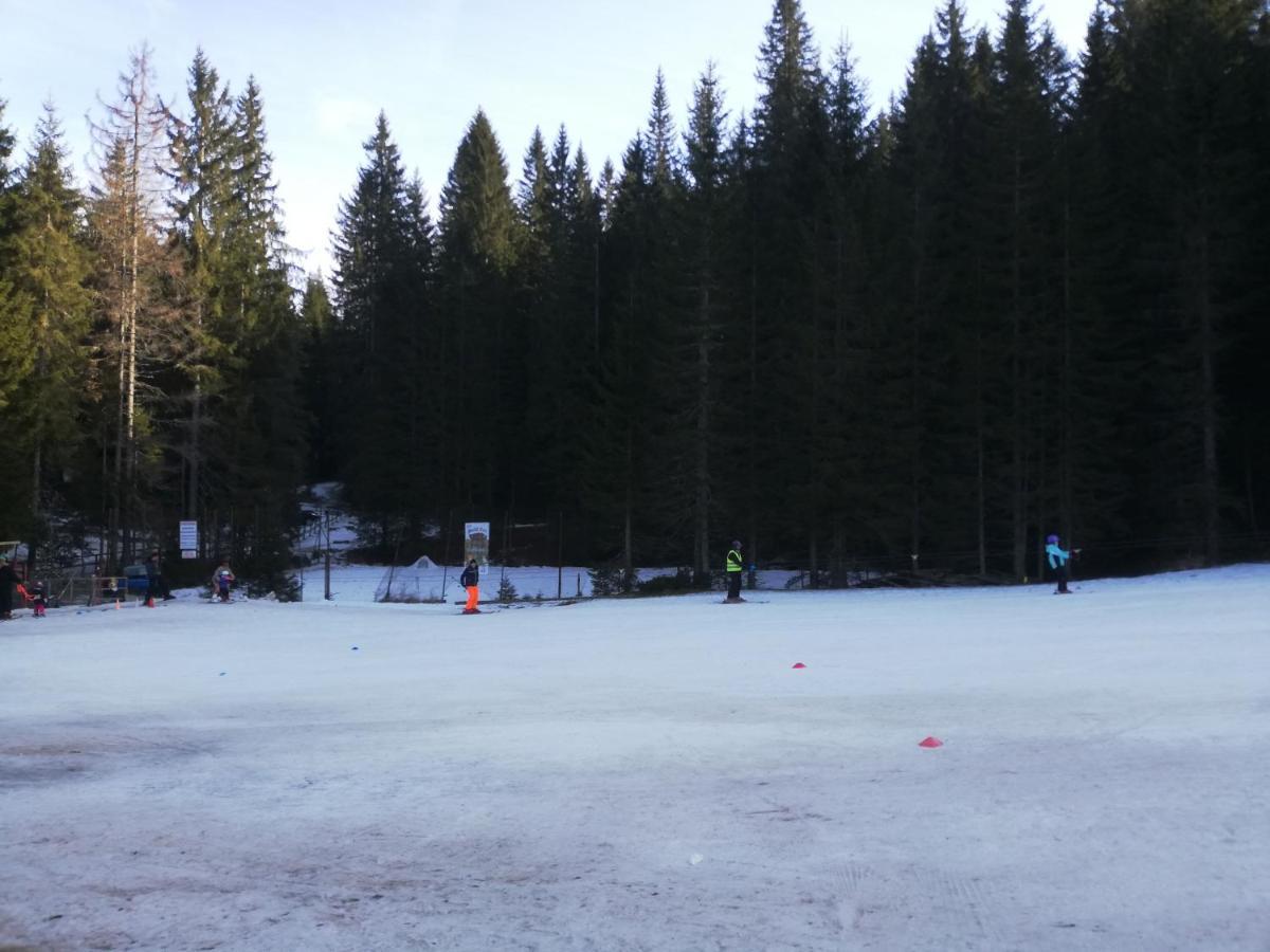 Brunarica Na Goreljeku Bohinj Exteriér fotografie