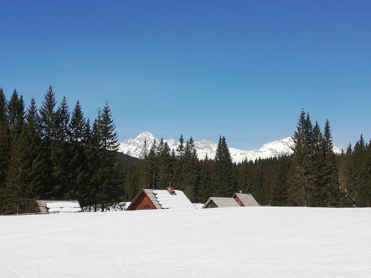 Brunarica Na Goreljeku Bohinj Exteriér fotografie