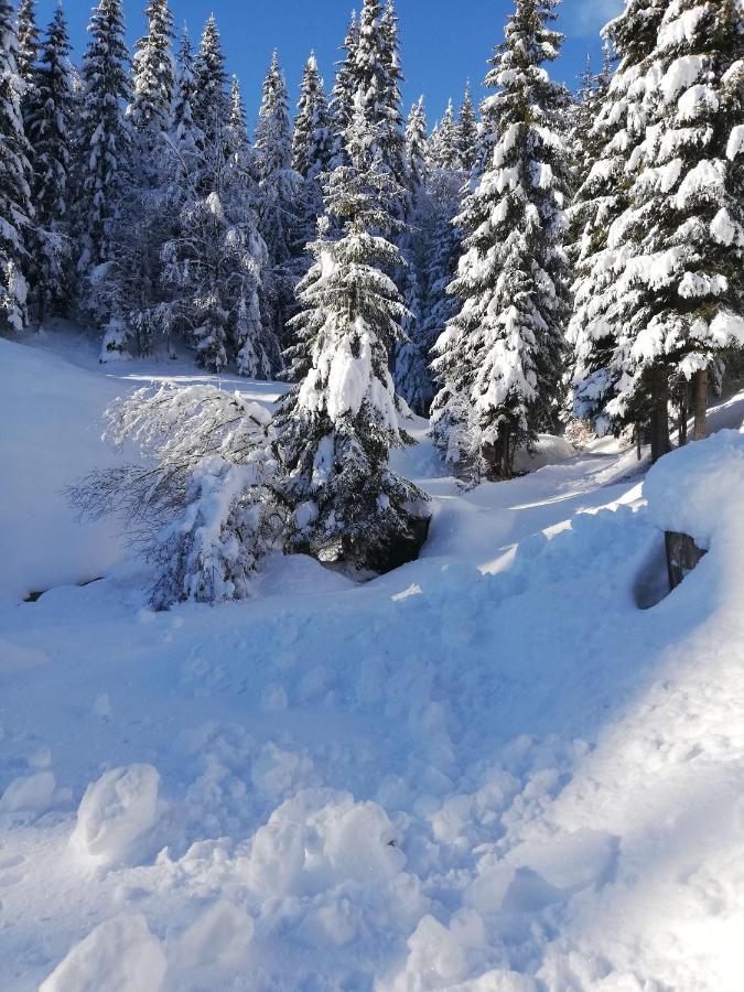 Brunarica Na Goreljeku Bohinj Exteriér fotografie